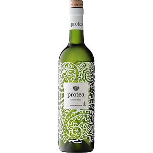 PROTEA CHENIN BLANC