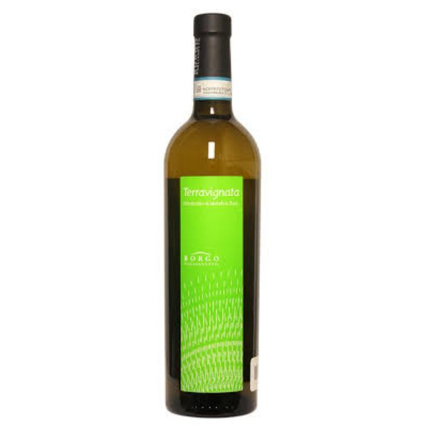 B.PAGLIANETTO TERRAVIGNATA VERDICCHIO