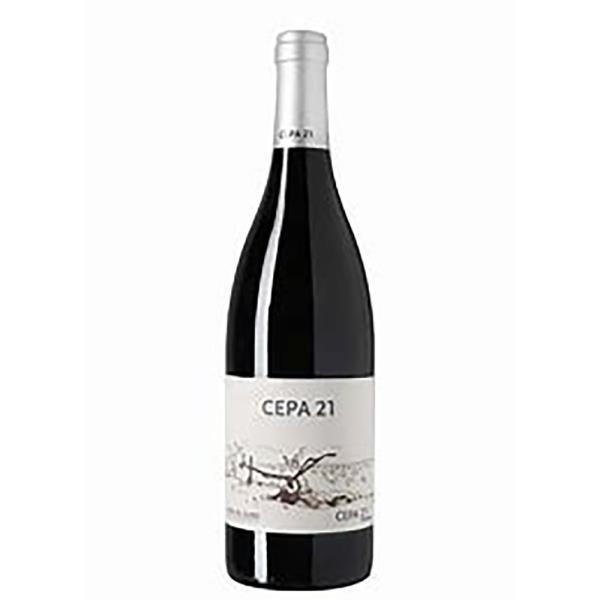 CEPA 21
