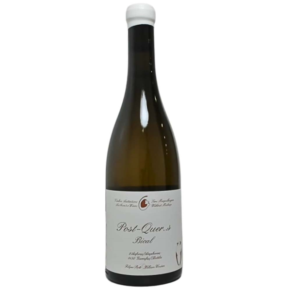 FILIPA PATO POST QUERCUS BICAL