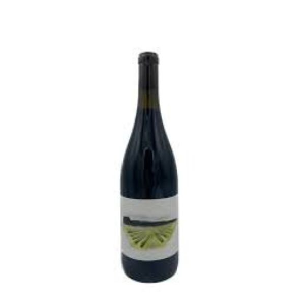 BRIJ WINES SYRAH