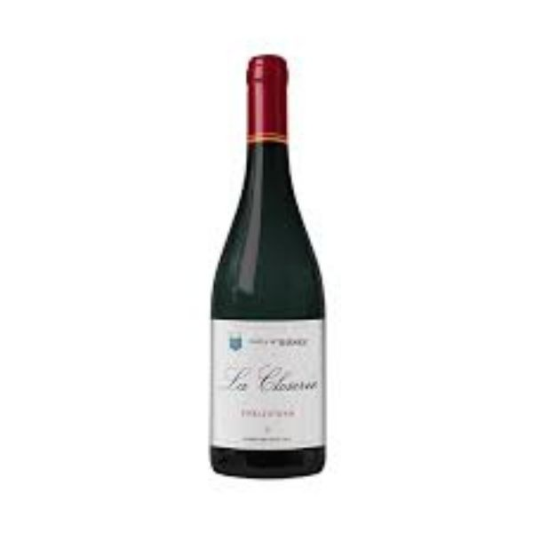 CH DE THESEE PINEAU D'AUNIS LA CLOSERIE