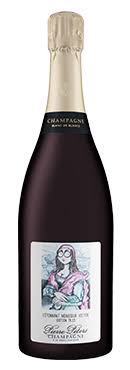 PIERRE PETERS L'ETONNANT MONSIEUR VICTOR