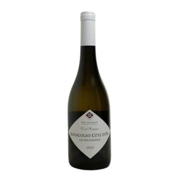 DOMAINE ERIC BOIGELOT BOURGOGNE BLANC