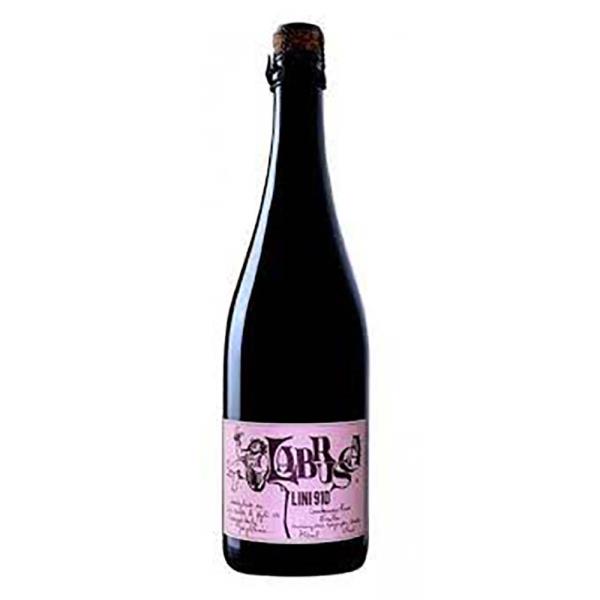 LINI 910 LAMBRUSCO 'LAMBRUSCA' ROSE
