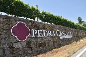 WEDS MAY 20th 6:00pm-7:30pm Wines of Portugal with owner Francisco Gomes