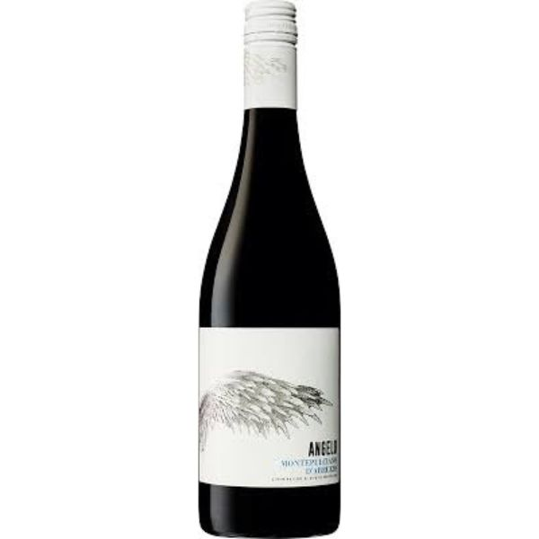 ANGELO MONTEPULCIANO D'ABRUZZO DOC