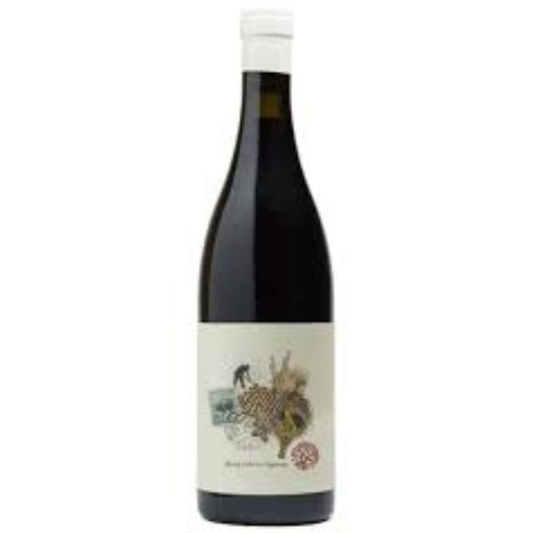 VAN LOGGERENBERG GRAFT SHIRAZ