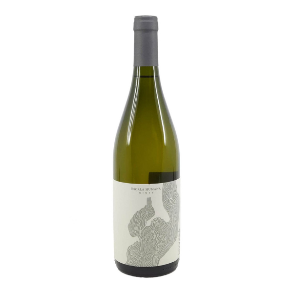 ESCALA HUMANA MALVASIA
